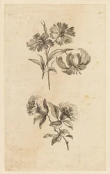 Zwei Blumensträuße