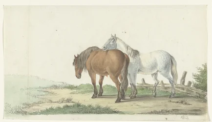 Ein braunes und weißes Pferd auf einem Weg neben einem Zaun