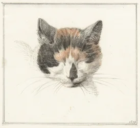 Kopf einer gefleckten Katze, von vorne, mit geschlossenen Augen