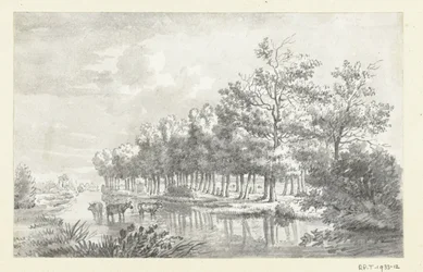 Landschaft mit watenden Kühen