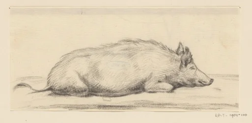 Liegendes Schwein, nach rechts