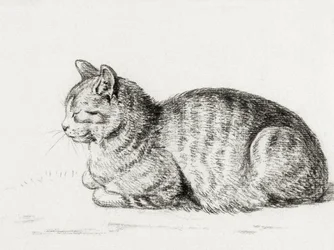 Liegende Katze