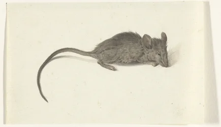 Maus, nach rechts
