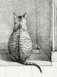Sitzende Katze von hinten