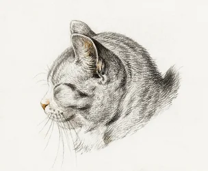 Skizze einer Katze (1813)