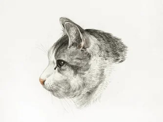 Skizze einer Katze (1819) von Jean Bernard (1775–1883)
