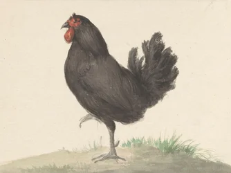 Stehendes schwarzes Huhn (1775–1833)