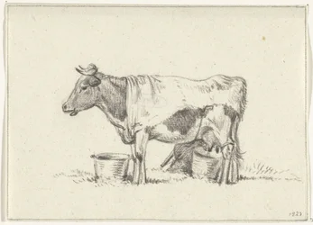 Stehende Kuh, mit Milcheimer und Melkschemel