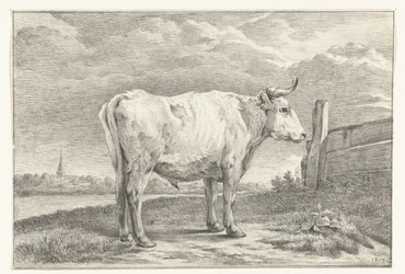Stehender Stier, nach rechts