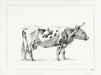 Stehende Kuh (1820)