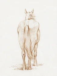 Stehendes Pferd (1815) von Jean Bernard
