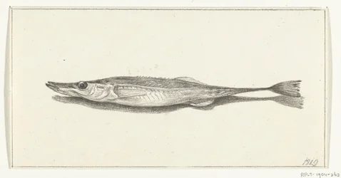 Fisch