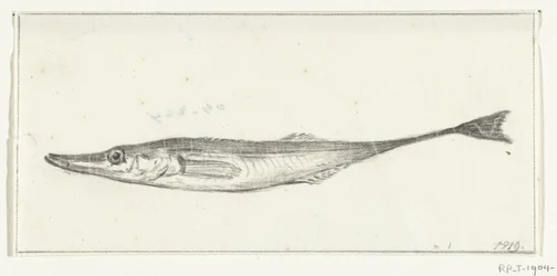 Fisch