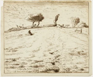 Landschaft - Hügel in Gruchy, Normandie
