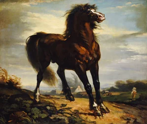 Das Pferd