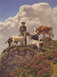 Schweiz: Gute Freunde