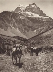 Schweiz: Der Tödi