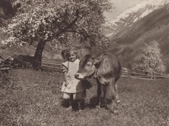 Schweiz: Die jüngere Generation