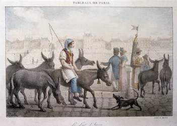 Altes Straßenhandwerk in Paris: Eselsmilchhändler - Gravur von Jean Henry Marlet (1771-1847) in „Les Tableaux de Paris“, Serie von 72 Drucken, Ende des 19. Jahrhunderts