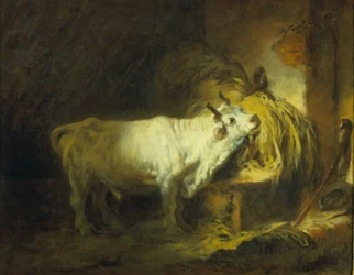 Der weiße Stier im Stall