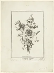 Blumenstrauß aus Anemone und Winde