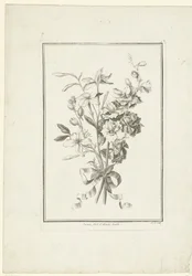 Blumenstrauß aus Jasmin und Rittersporn