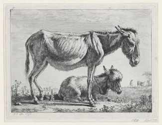 Jenny mit ihrem Fohlen