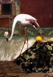 Der rosa Flamingo (Detail)