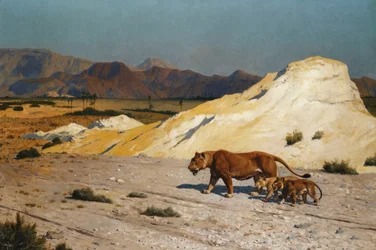 Löwin und Junge