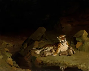 Tiger und Junge