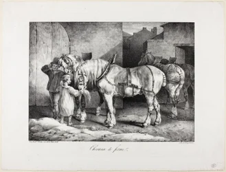 Bauernpferde