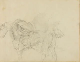 Pferd mit Decke