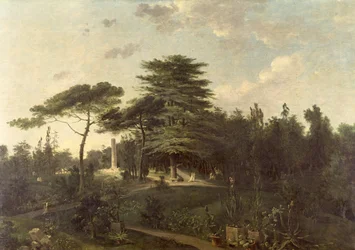 Die Zeder des Libanon im Jardin des Plantes