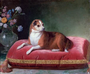 Die Hündin auf einem Kissen, um 1694-1735
