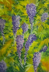 Wisteria-Blüten & Laub 2, 2023