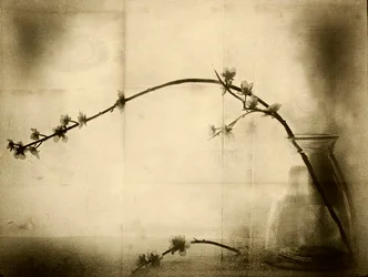 Sepia Blumen Stillleben