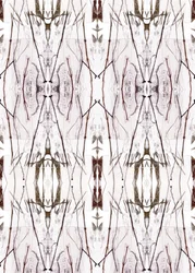 Symmetrisches Naturmuster