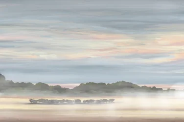 Nebliger Morgenlandschaft