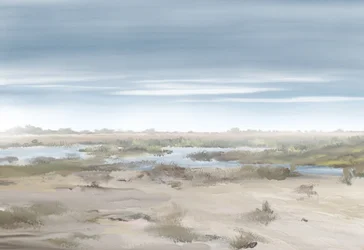 Neblige Feuchtlandschaft