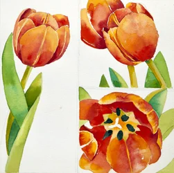 Drei Tulpenstudien in einer Vase