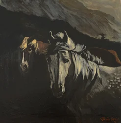 Bergponys