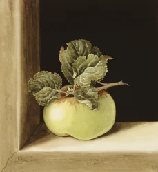 Apfel