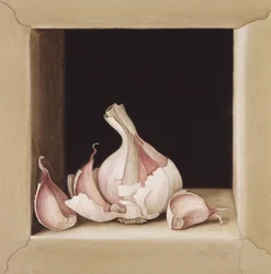 Knoblauch, 2005