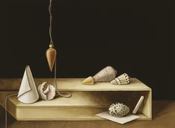 Optische Täuschung, 2005