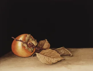 Kaki, 2004
