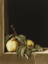 Quitten, 2005