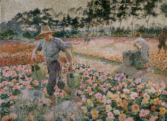 Die Begonien (Der Gärtner)