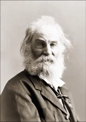 Porträt von Walt Whitman (1819 - 1892) von Gurney zwischen 1880 und 1890.