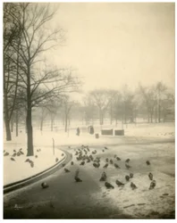Boston Common, Boston, USA, ca. 1902-10