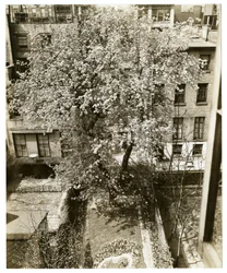 Mrs. W H Wells, 265 W 11th